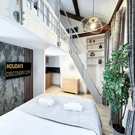 Stylish Duplex In Front Of Buttes-chaumont *