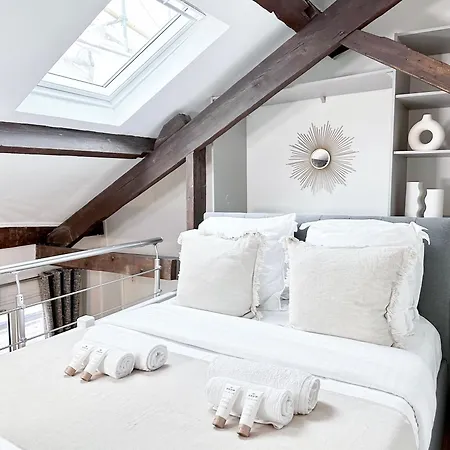 Stylish Duplex In Front Of Buttes-chaumont Paris