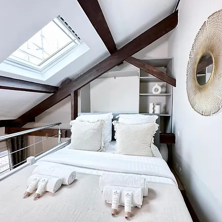 Stylish Duplex In Front Of Buttes-chaumont