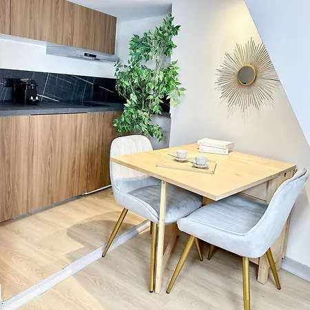 Stylish Duplex In Front Of Buttes-chaumont Apartment *