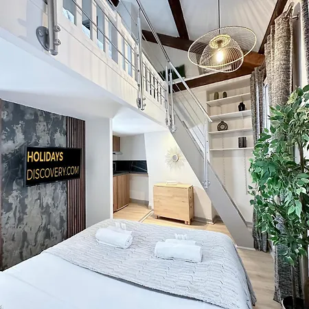Stylish Duplex In Front Of Buttes-chaumont Apartment Paris